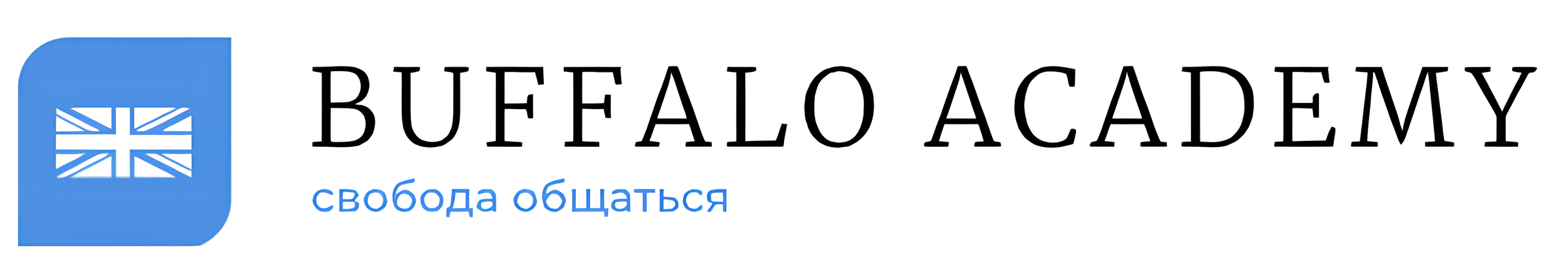 Buffalo Academy Logo